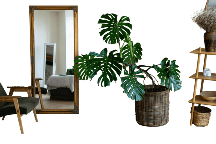 フラダンスレッスン